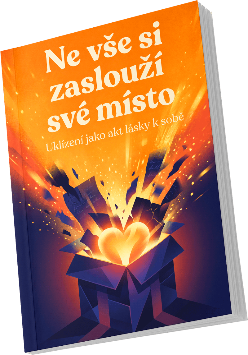 E-kniha Úklid